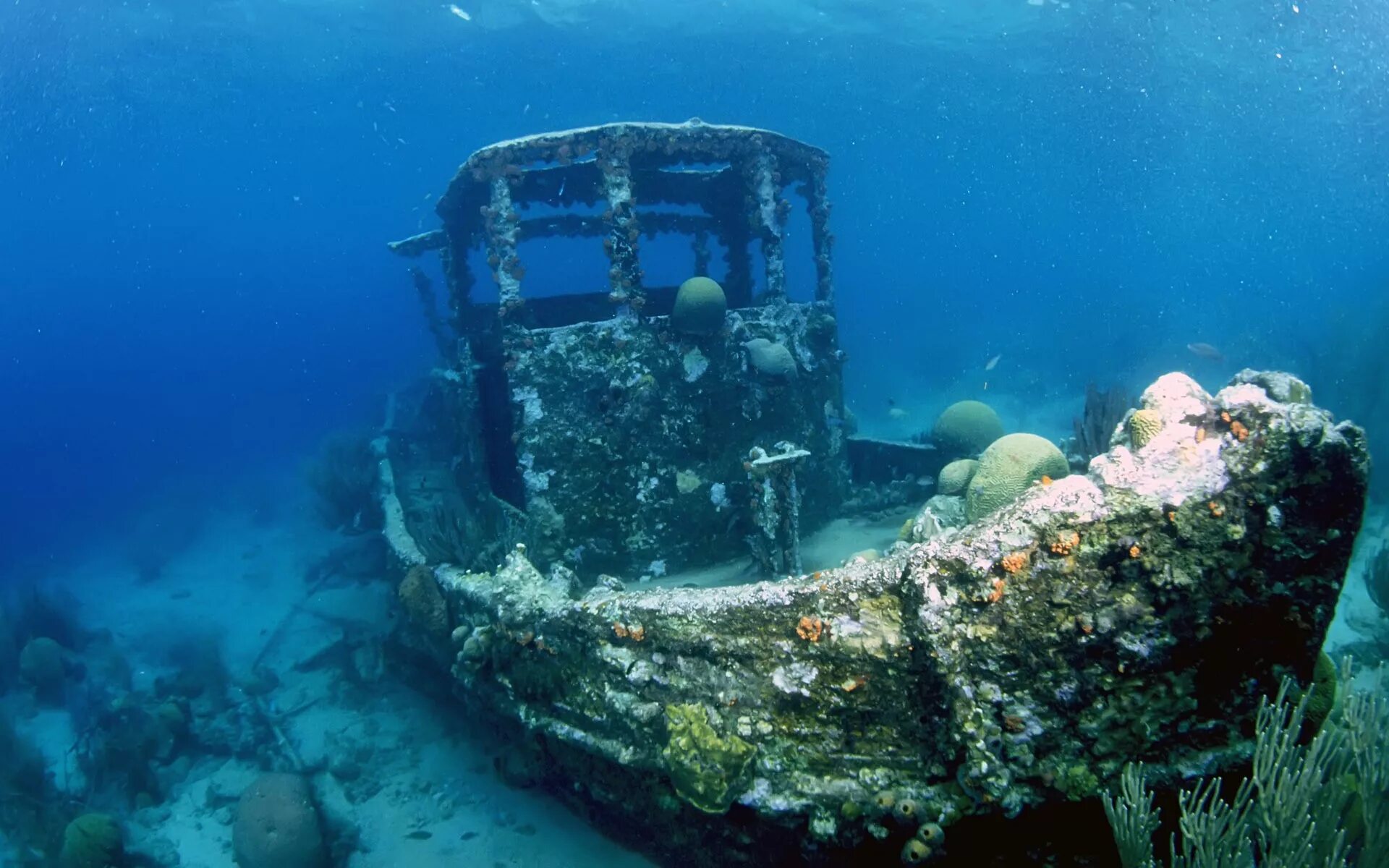 Корабль SS Thistlegorm, красное море. Рио Гранде корабль затонул. Затонувший корабль Варна. Затонувшие корабли в Саргассовом море.