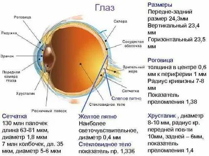 Желтые пятна зрение