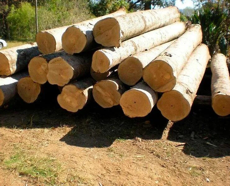 Плаха пиломатериал. Древесина пиломатериалы. Доска обрезная. Магазин пиломатериалов. Круглые лесоматериалы.