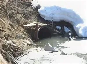 Яшкино кемеровская область погода на 3 дня