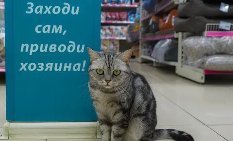 Радушный хозяин