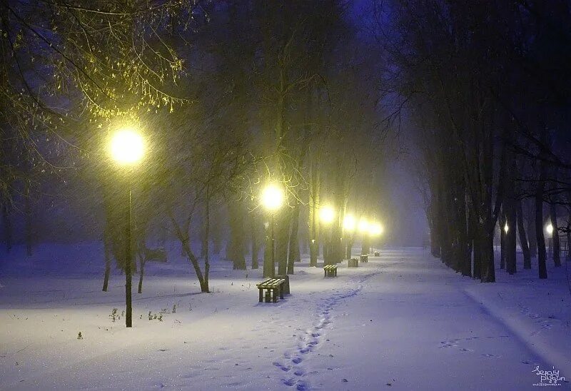 Там где зима песня. Зима ночь. Снегопад. Зимний вечер. Метель город вечер.