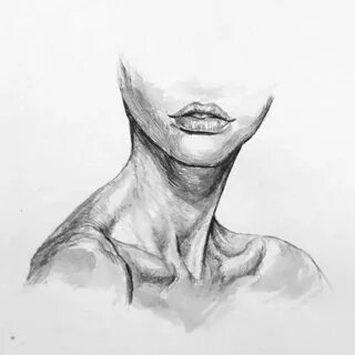 Ключицы рисунок