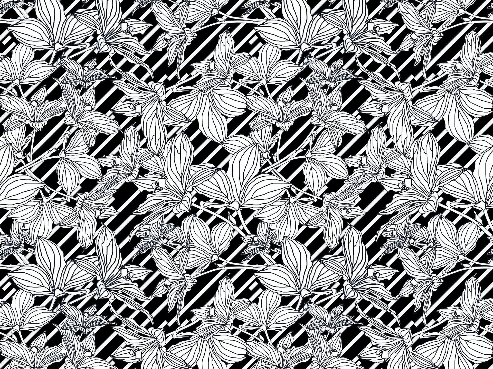 Фон вензеля. Красивый бесшовный узор. Векторные узоры. Растительный орнамент черно белый. Векторные узоры.