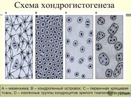 Электрическая ткань