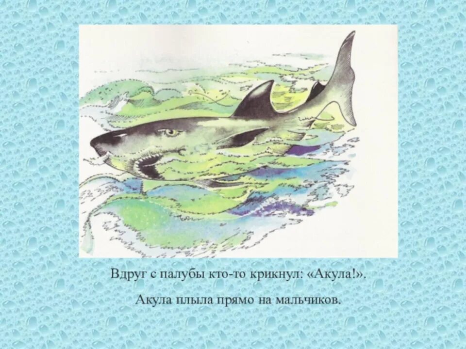 Н толстого. Акула для читательского дневника 3 класс. Л н толстой рисунок к рассказу акула. Лев николаевич толстой акула. Акула для читательского дневника 3 класс.