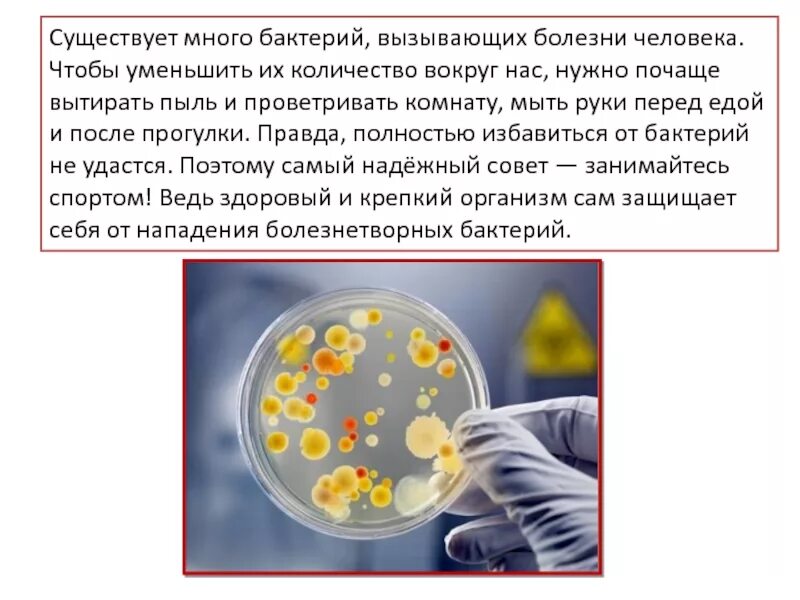 Заболевания вызванные различными бактериями. Информация о бактериальном заболевании. Болезни вызываемые бактериями. Бактерии вызывающие болезни у человека.