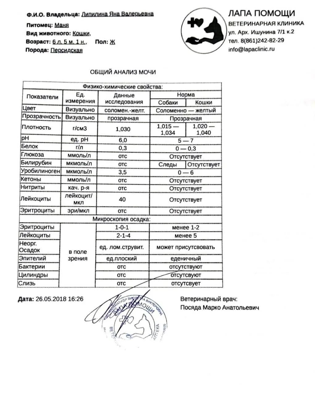 Как взять анализ мочи у кота. Плотность мочи у кошек норма. показатели кошачьей мочи нормальные. анализ мочи кошки.
