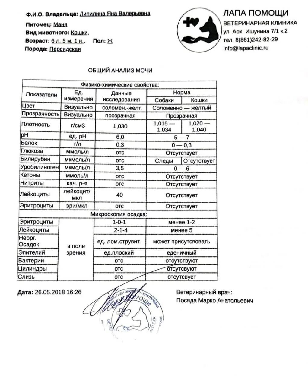 Сколько мочи кот. Нормы ОАМ У котов. Плотность мочи у кошек норма. Анализ мочи кошки. Исследование мочи у кошек.