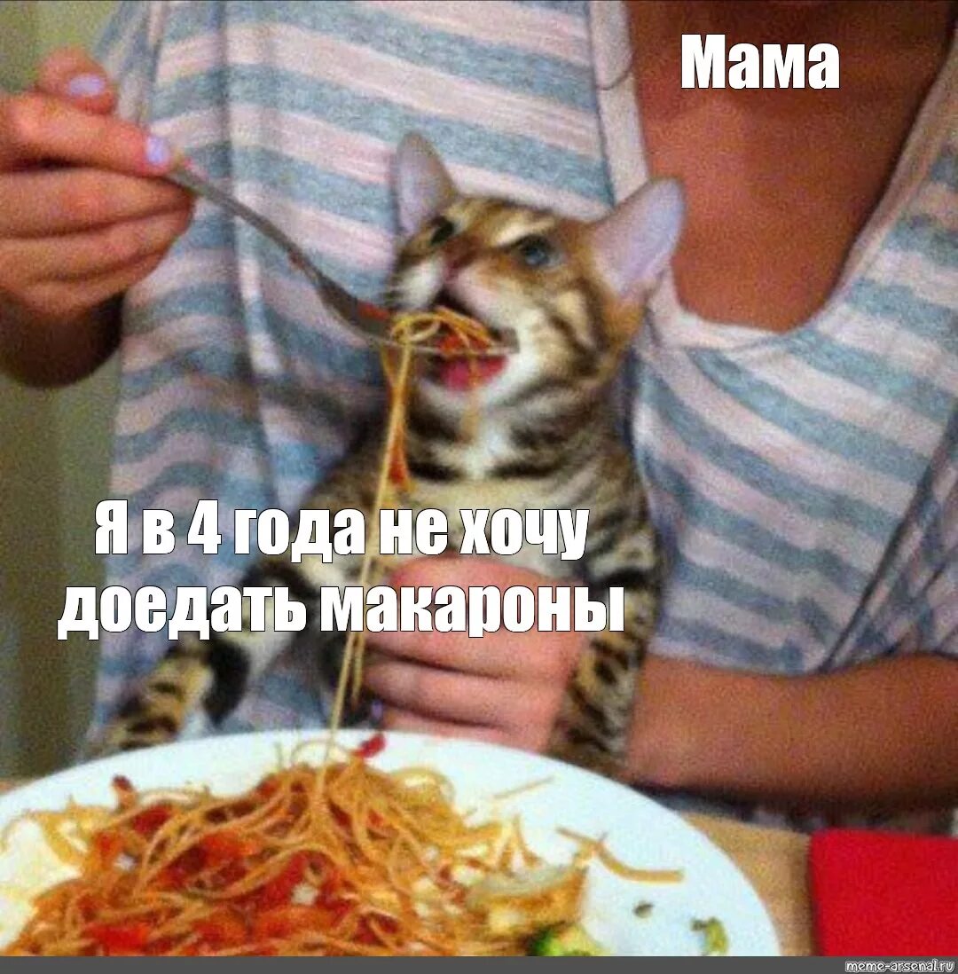 Кот с ложкой мем Kitty Eats with Chopsticks Ugly cat, Cat yawning, Kittens cutest