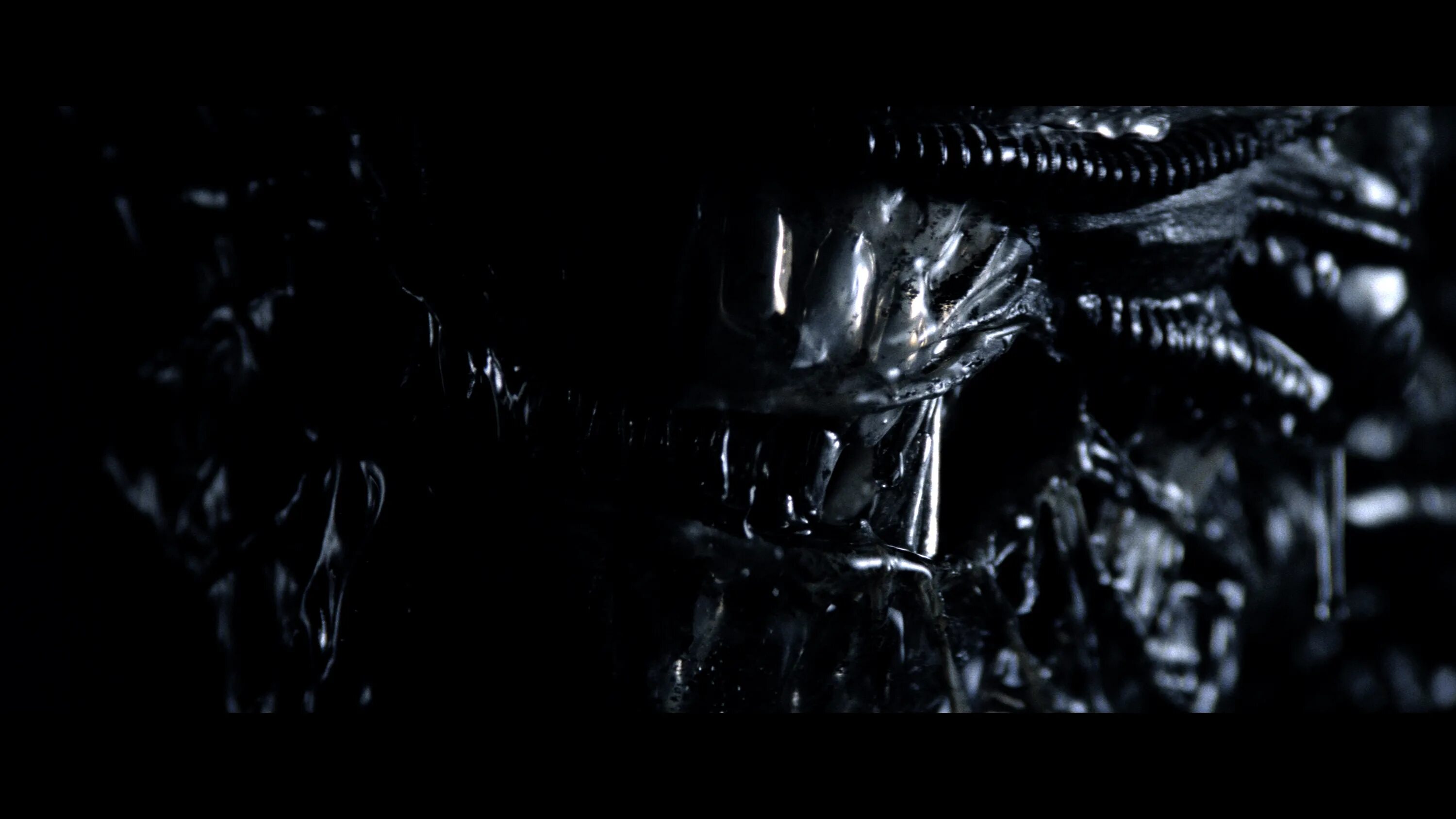 слушать музыку из кинофильма чужой. чужой 1979 ксеноморф. чужие против хищника реквием 2007. сигурни уивер чужие 1986. чужой 4 воскрешение фильм 1997 вайнона райдер.