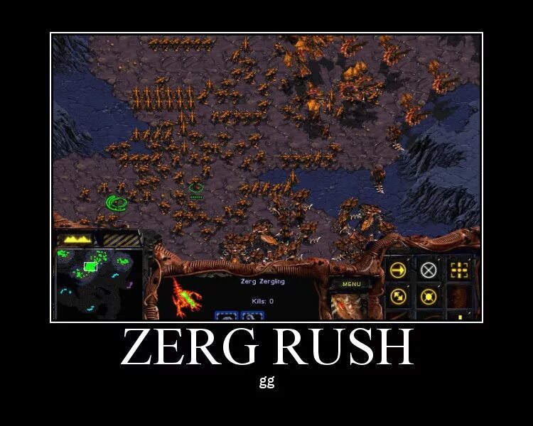 Zerg rush. Старкрафт раш. zerg crash. zerg rush starcraft. зерг раш мем.