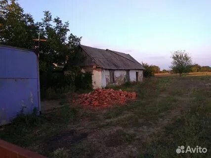 Погода в мирской на завтра