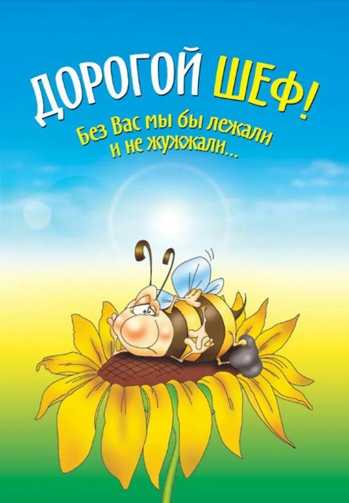 Медаль шефу. Поздравления с днём рождения начальнику. С днем рождения большой начальник. С днём рождения начальнику. С днем рождения большой начальник.
