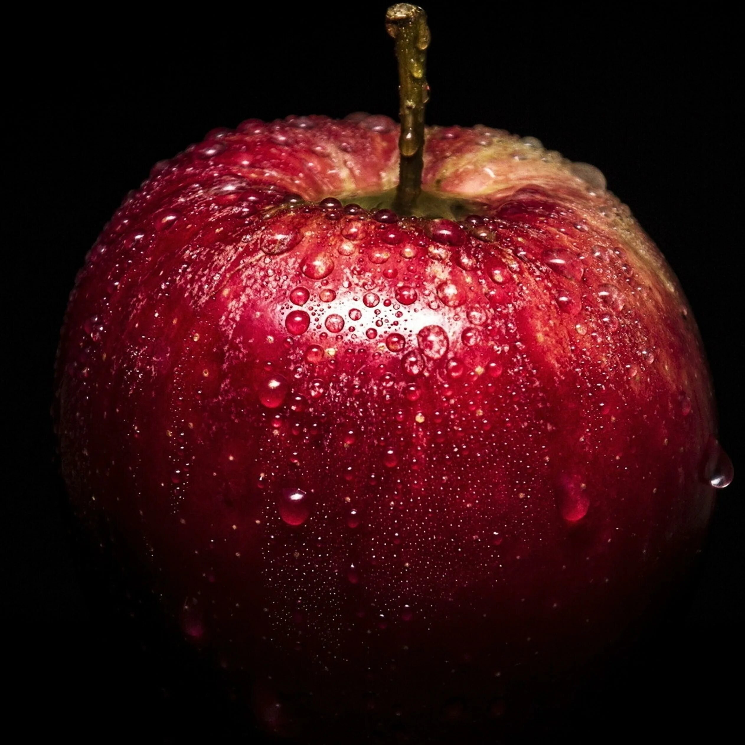 Red delicious Apple. Яблоко фото. Яблоко познания. Яблоко в высоком разрешении.