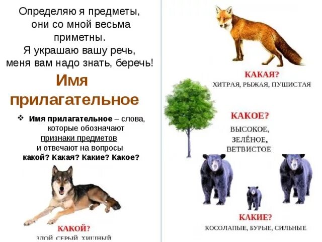 Игра подбери слово. Слова признаки волк. Волк обыкновенный описание. Слова признаки волк. Продолжительность жизни волка обыкновенного.