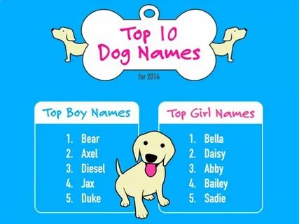 Dog s name