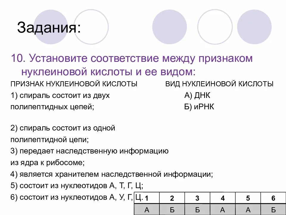 Установите соответствие между днк и рнк