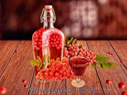 Рецепт красная рябиновая настойка
