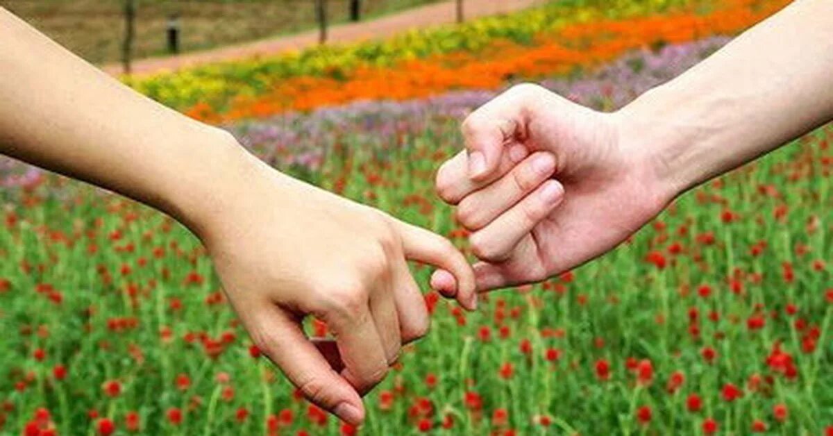 Примирение. Примирение картинки. Друзья мирятся. Подруги мирятся