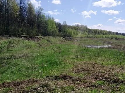 Земля брянская область