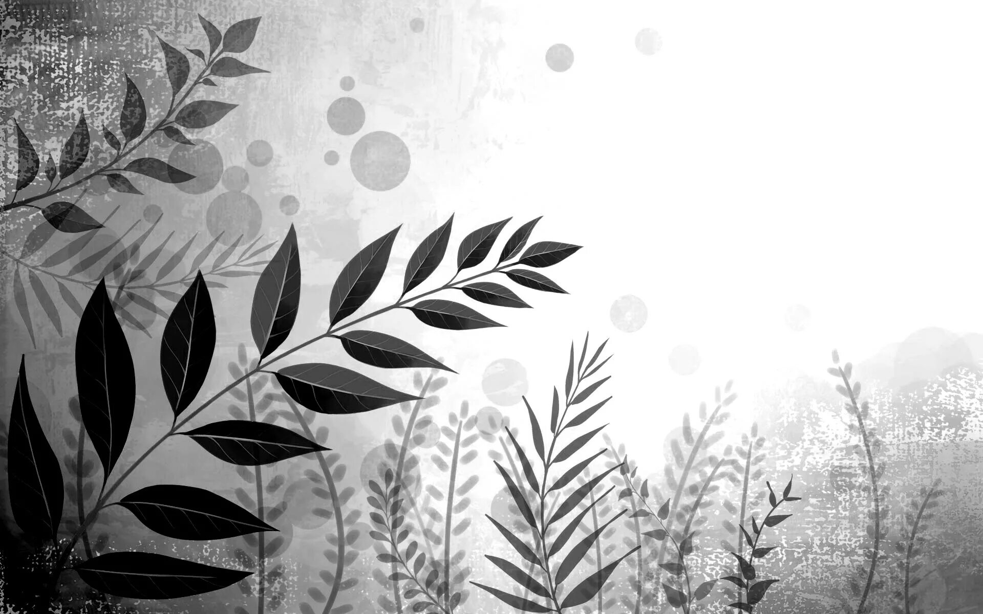 серые обои с листьями. обои 36627-1 colibri. Aura sunny style fd22704. Creation арт. серые обои с листьями.