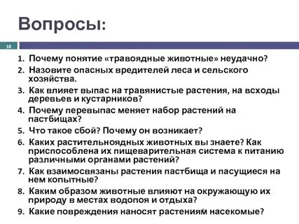 Почему понятие