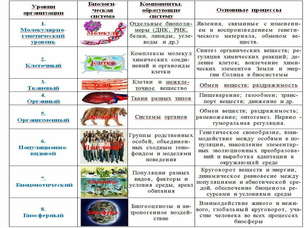 Последовательность уровня организации живого. Уровни организации живого таблица ЕГЭ. Уровни организации жизни биология ЕГЭ таблица. Уровни организации живой природы ЕГЭ биология. Уровни организации живой природы ЕГЭ таблица.