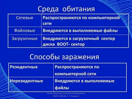 Среда обитания сетевых вирусов