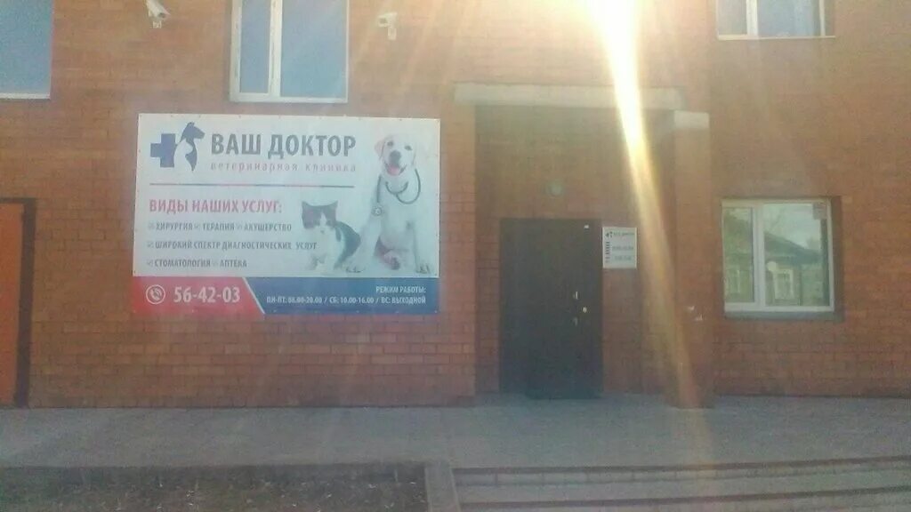 Ветсервис сыктывкар. Ветлайф сыктывкар. Октябрьский проспект 220 сыктывкар. Савина 4 ветеринарная клиника сыктывкар телефон. Магазин колибри сыктывкар.