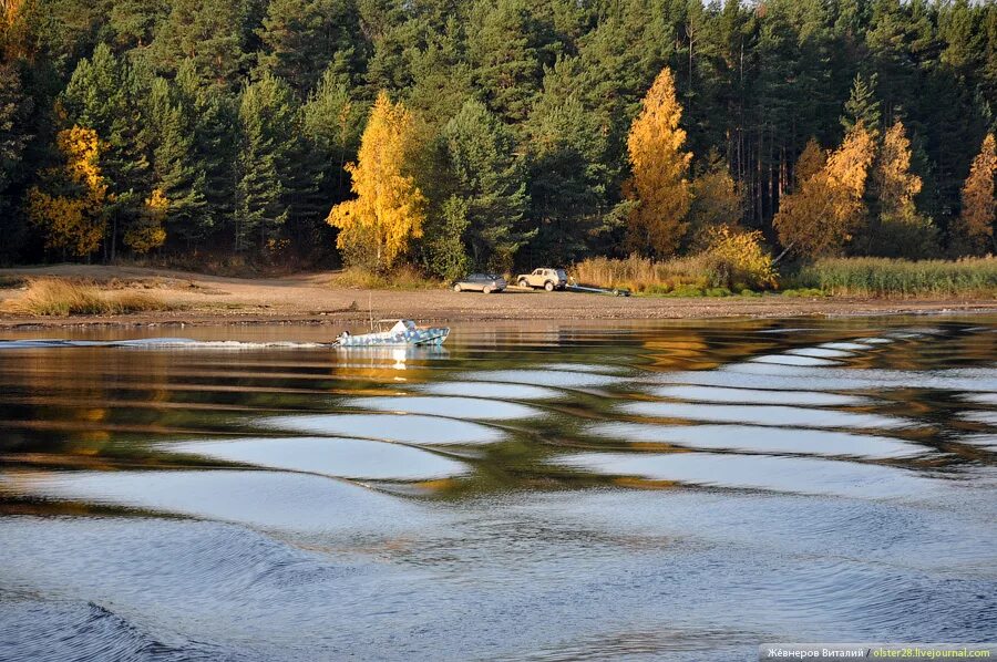 рынок в весьегонске. капризы погоды. весьегонск. прогноз погоды в весьегонске на 14. весьегонск тверской.