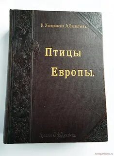 Холодковский