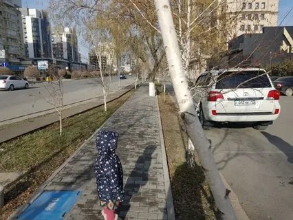 Погода в шимкенте