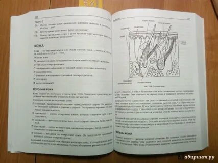 Практическая по биологии 9