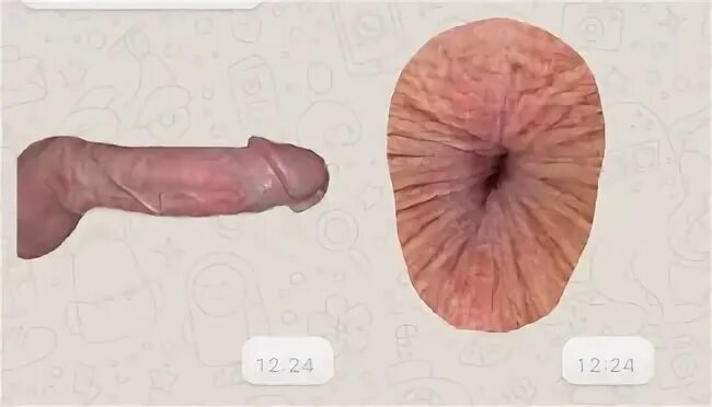 Порно стикеры в ватсап.