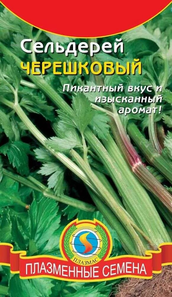 Сельдерей купить в спб. Семена Гавриш русский вкус сельдерей черешковый жених 0,3 г. Семена сельдерей Пражский гигант плазменные семена. Семена. Сельдерей черешковый. Семя сельдерея.