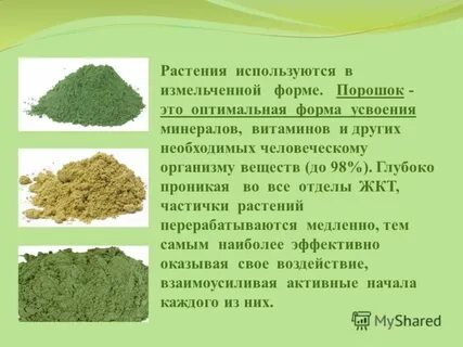Какие растения можно использовать для получения волокон