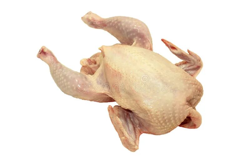 Туша цыпленка. Бройлер голова прямо png. Туша цыпленка. Туша цыпленка. Бройлер хl 787.
