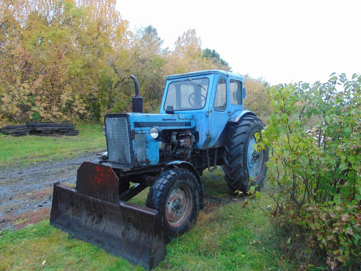 мтз 52 экспортный. трактора 1980 годов. трактор колесный мтз-80. мтз-80-1980. мтз 80 х.