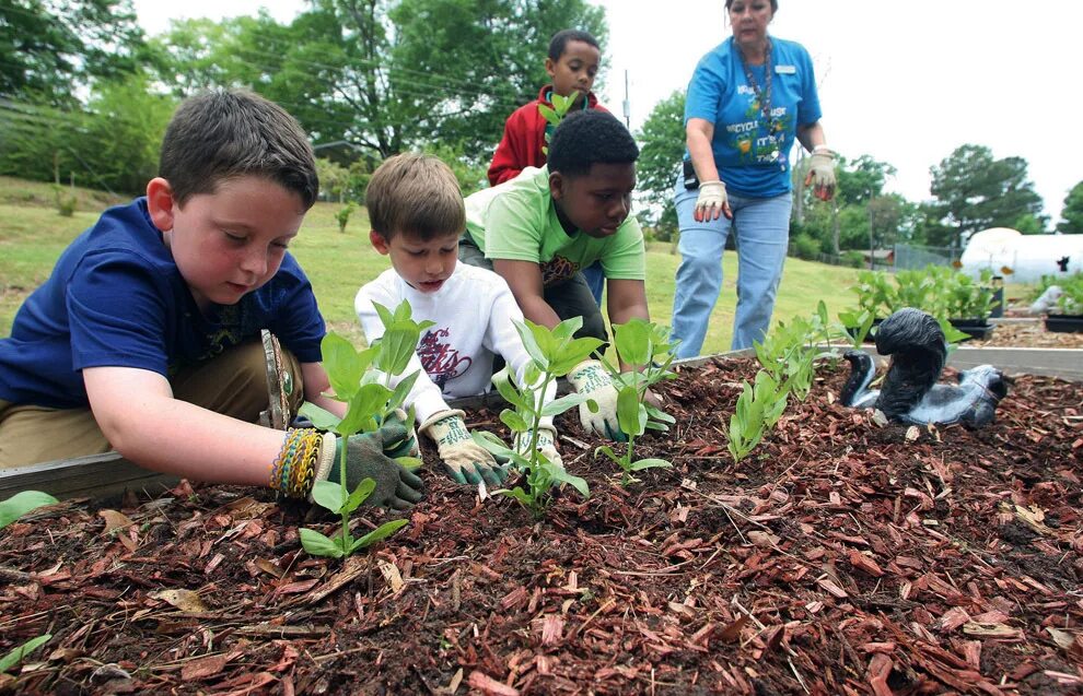 экологический день в школе. экологический день в школе. высадка деревьев детей в саду. день экологии. 1 экологический день.