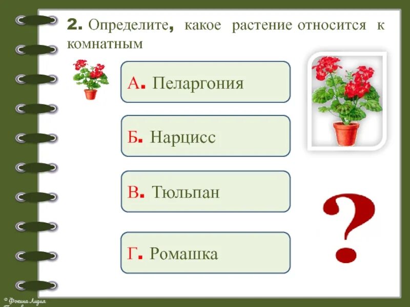 Проверочная работа по растительному сообществу