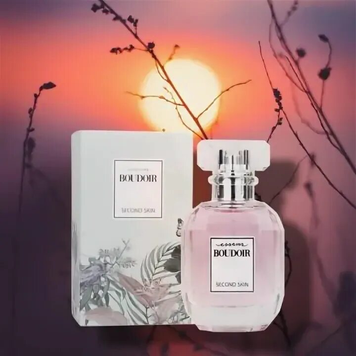 Духи будуар 10 эссенс. Boudoir духи essence. Аромат будуар от эссенс. Будуар эссенс. Boudoir духи эссенс.
