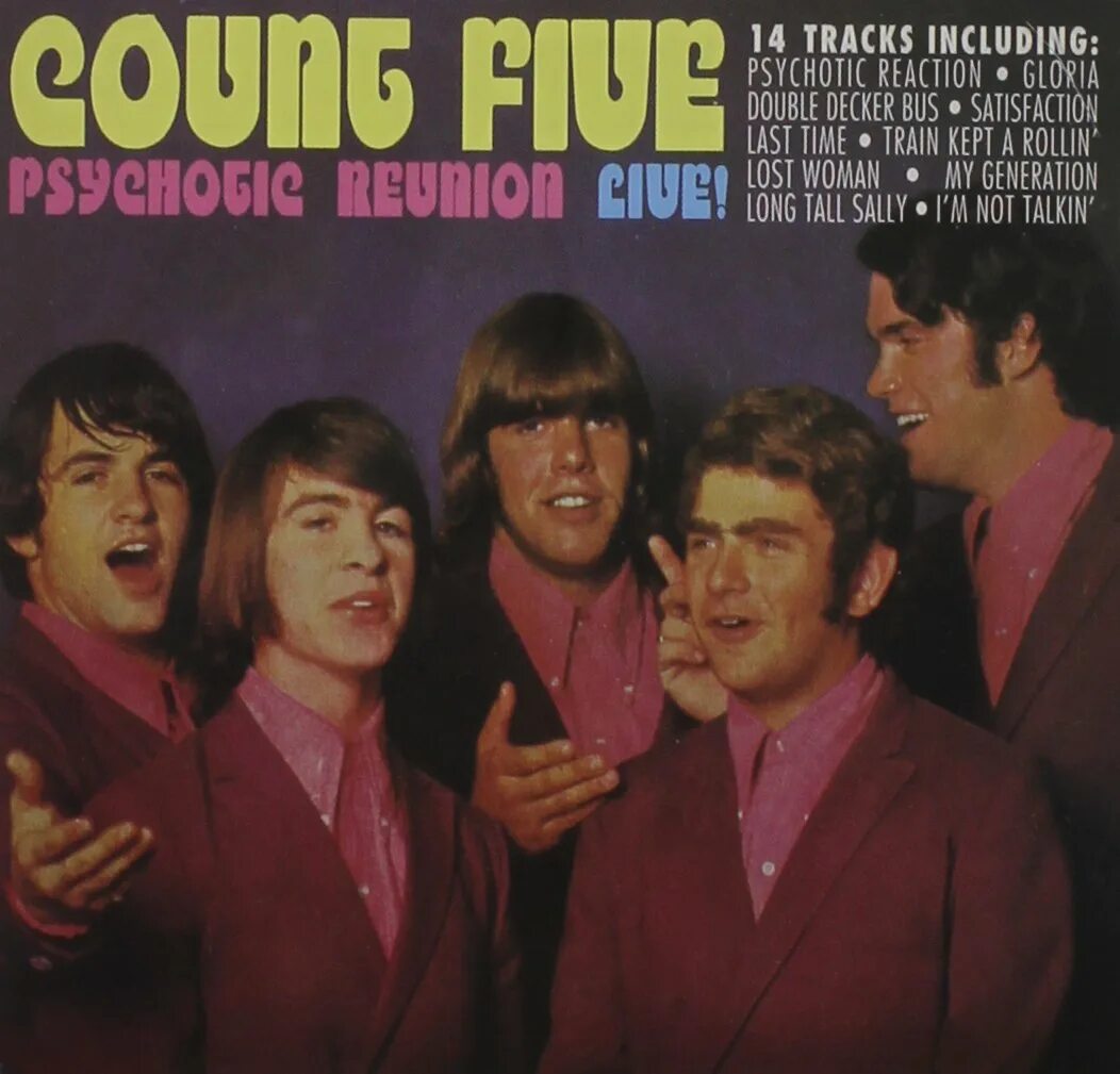 Count five. Группа count five. count five - psychotic reaction. группа count in fives. 1966 - psychotic reaction.