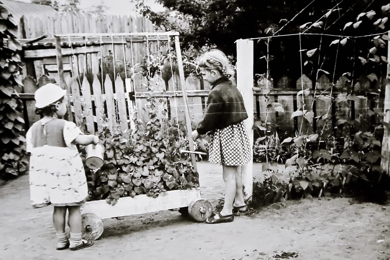 архив детского сада. детский дом в годы войны. запрещённые архивы детей. история детского сада в фотографиях. больничные палаты в россии 19 век.