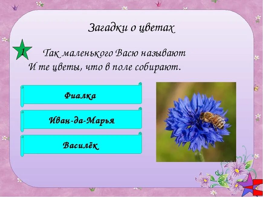 Загадки про цветы. Загадки на тему цветов. Цветочные загадки. Загадки про цветы маленькие.