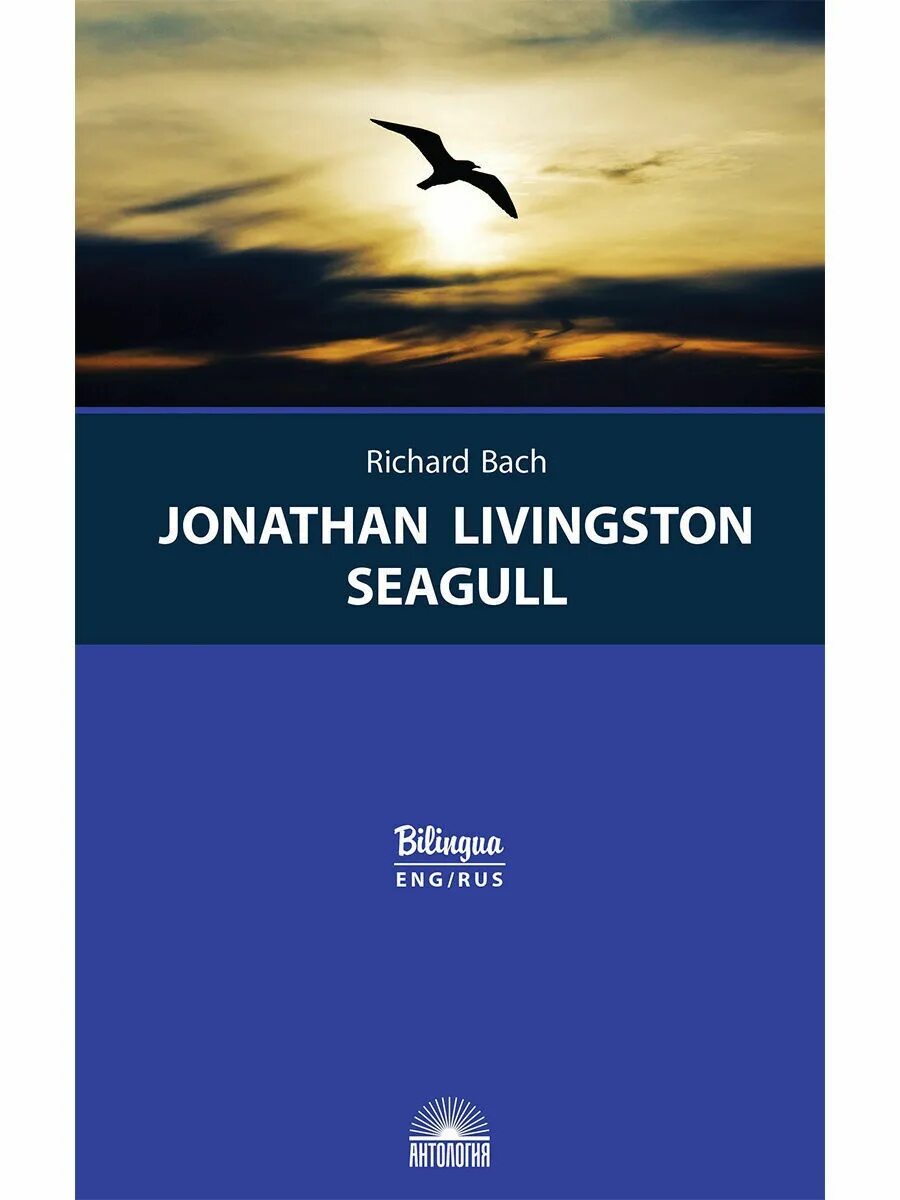 Имя джонатан на русском. Ричард Бах книга Jonathan Livingston Seagull. Чайка Ливингстон книга. Чайка книга Ричард Бах. Чайка Джонатан Ливингстон книга.