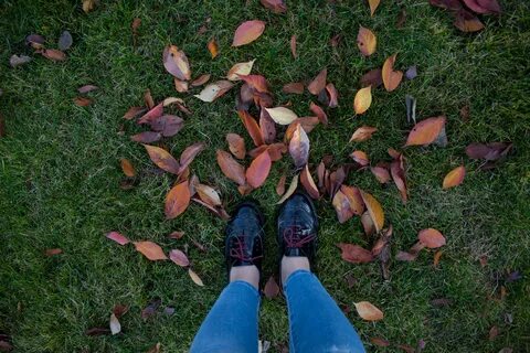Leaves off