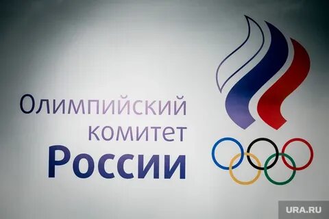 Олимпийский комитет адрес