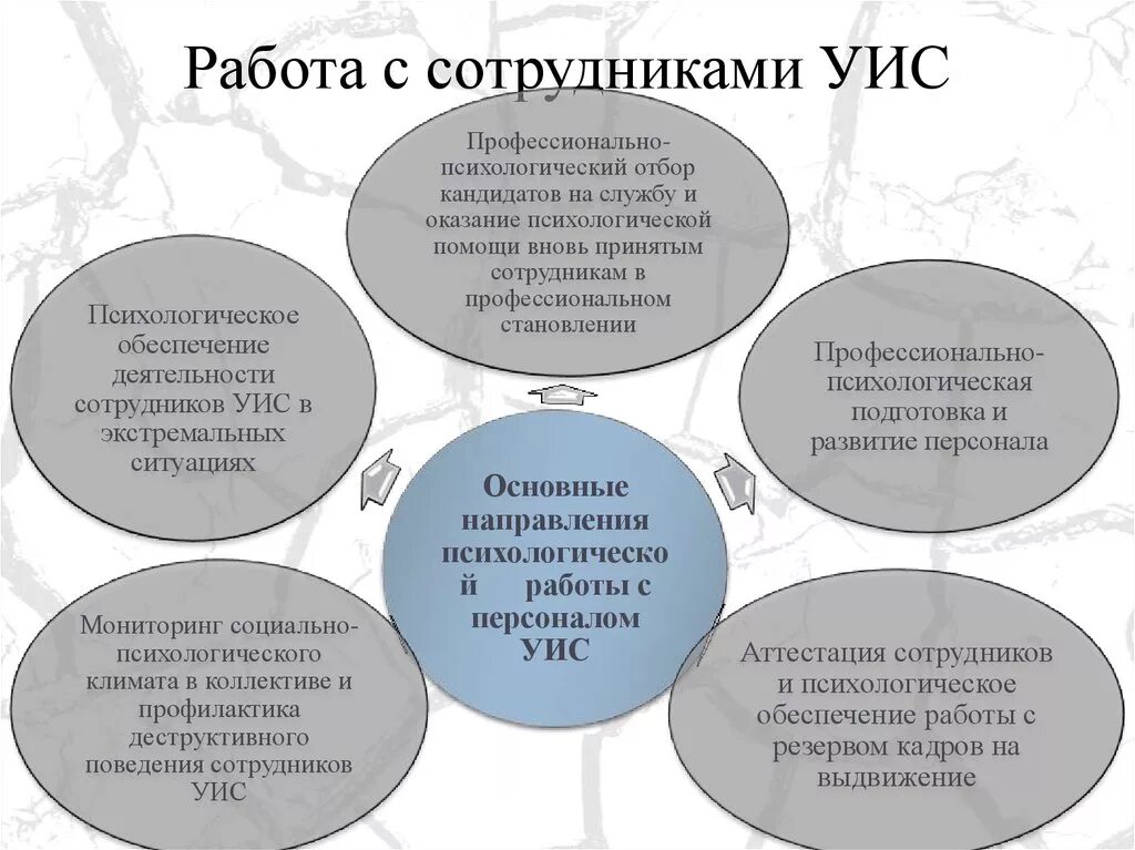 План социальной работы с сотрудниками УИС. Главное для сотрудника УИС. Воспитательная работа в УИС С сотрудниками. Организация воспитательной работы с сотрудниками УИС.