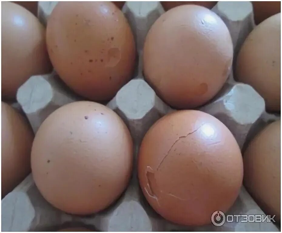 Яйцо везешь